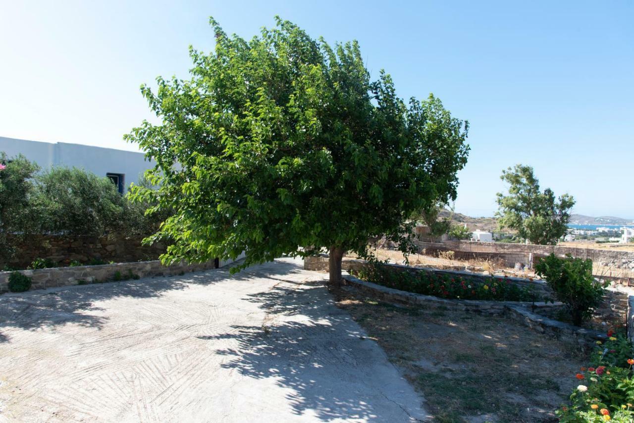 Villa Tonia Parasporos Bagian luar foto